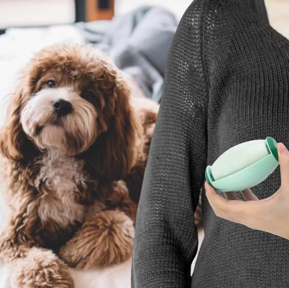 Person holding a green and white Portable Pet Hair Roller next to a brown dog indoors.